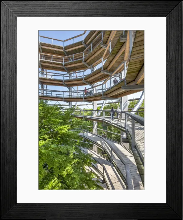 Framed Print : Tree top path, Prora, RAogen Island, Mecklenburg-Western Pomerania, Germany