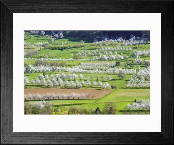 Framed Print : Germany, Baden-WAorttemberg, Schliengen. Eggenertal valley near the village of Obereggenen Framed Print : Germany, Baden-WAorttemberg, Schliengen. Eggenertal valley near the village of Obereggenen