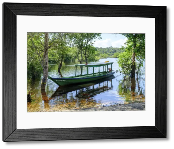 Framed Print : Brazil, Brazilian Amazon, Amazonas state, Mamori district, Juma rainforest reserve