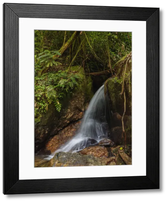 Framed Print : Cachoeira do Jequitiba, waterfall, Tijuca Forest National Park, Rio de Janeiro, Brazil
