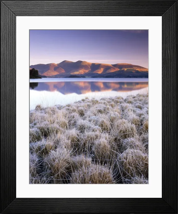 Framed Print : Frosted Grasses & Skiddaw Reflecting in Derwent Water, Lake District National Park Framed Print : Frosted Grasses & Skiddaw Reflecting in Derwent Water, Lake District National Park