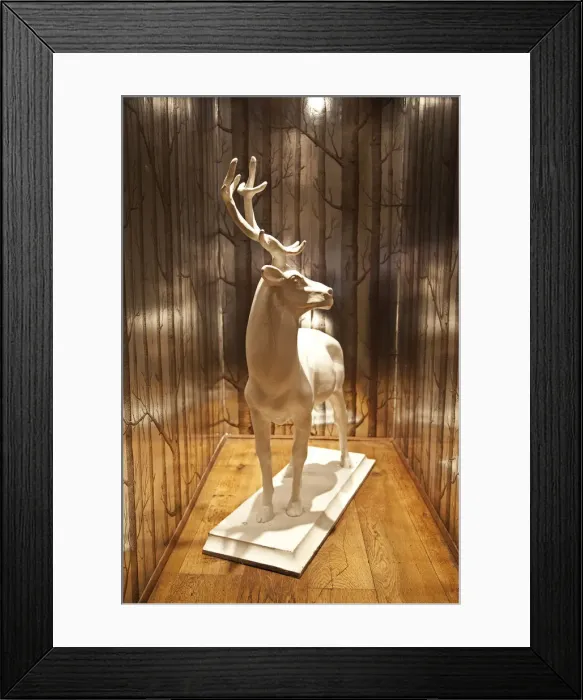 Framed Print : Lincoln, England. The White Hart Hotel Framed Print : Lincoln, England. The White Hart Hotel
