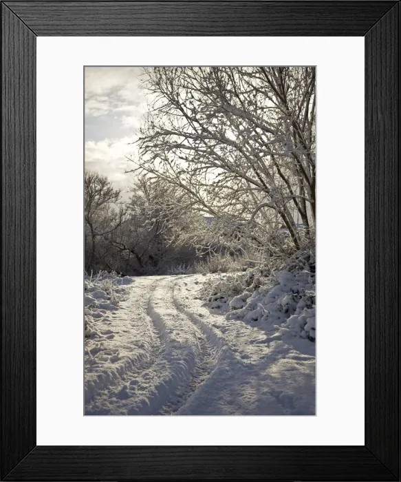 Framed Print : Newark, UK. Parnams island on the trent in snow Framed Print : Newark, UK. Parnams island on the trent in snow