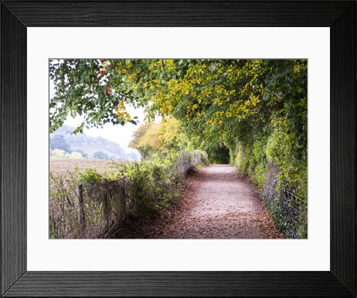 Framed Print : Countryside in Herefordshire, UK Framed Print : Countryside in Herefordshire, UK