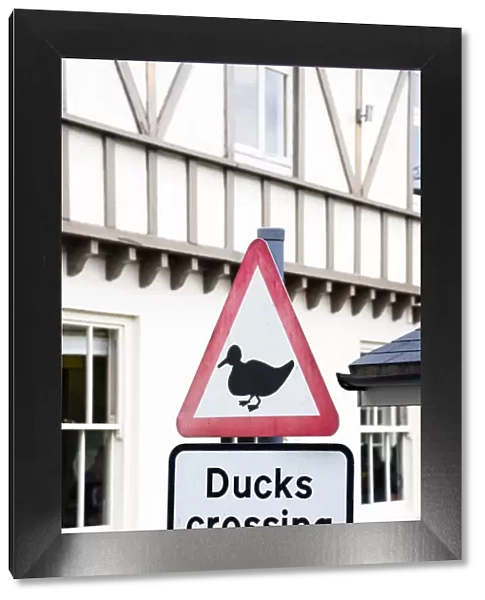 'Ducks crossing' road sign in the village of Symonds Yat, Herefordshire, UK
