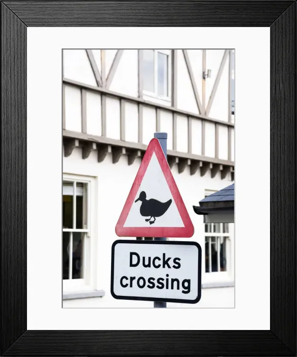 Framed Print : Ducks crossing road sign in the village of Symonds Yat, Herefordshire, UK