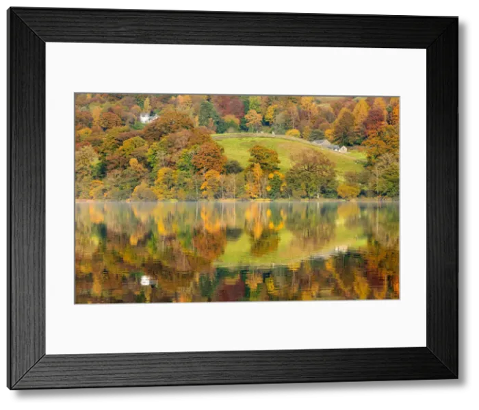 Framed Print : Lake Grasmere in autumn, Cumbria, UK Framed Print : Lake Grasmere in autumn, Cumbria, UK