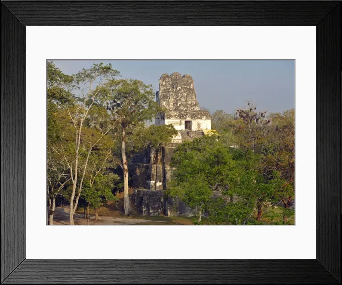 Framed Print : Maya Archaeologial Site Tikal, Tikal National Park, Peten, Mundo Maya, Guatemala Framed Print : Maya Archaeologial Site Tikal, Tikal National Park, Peten, Mundo Maya, Guatemala