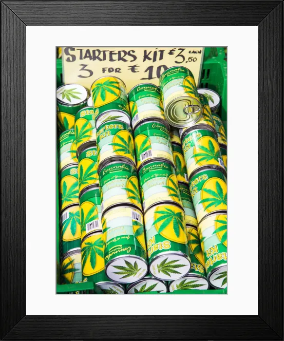 Framed Print : Cannabis Starter Kit to grow your own marijuana on sale in a flower market, Amsterdam Framed Print : Cannabis Starter Kit to grow your own marijuana on sale in a flower market, Amsterdam