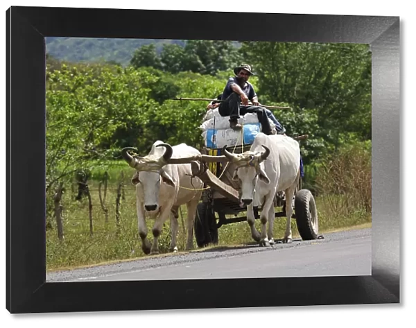 Ox wagon on Highway near Choliteca, Central America, Honduras
