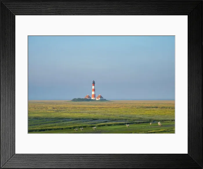 Framed Print : Sheep grazing in front of Westerhever Lighthouse, built in 1906, Westerhever