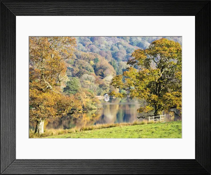 Framed Print : Rydal Water in autumn, Cumbria, UK Framed Print : Rydal Water in autumn, Cumbria, UK