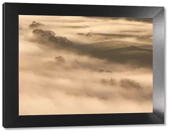 Mist covered rolling farmland at dawn, Lake District, Cumbria, England