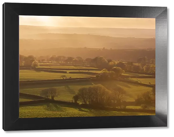 Rolling farmland at sunset, West Devon, England