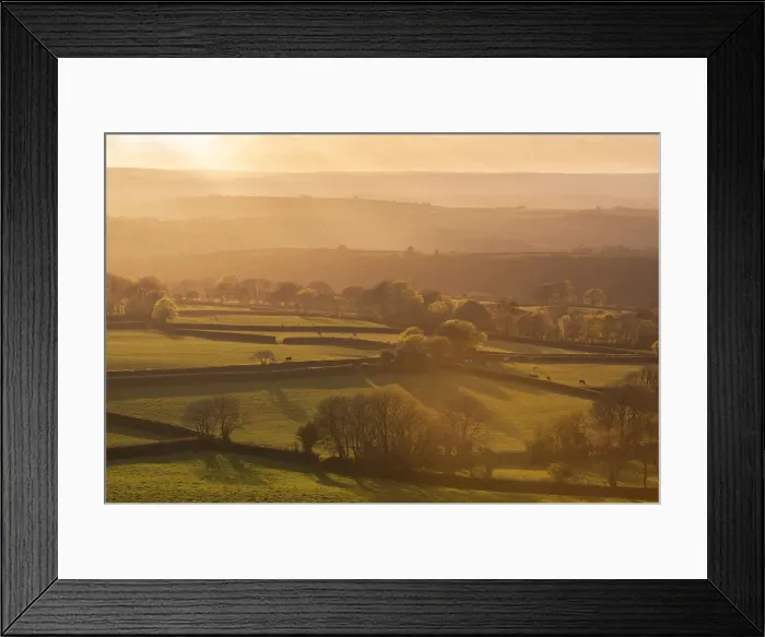 Framed Print : Rolling farmland at sunset, West Devon, England Framed Print : Rolling farmland at sunset, West Devon, England