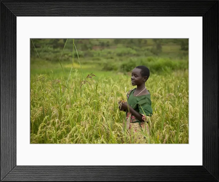 Framed Print : Burundi. A girl stands in a sorghum field in rural Burundi Framed Print : Burundi. A girl stands in a sorghum field in rural Burundi