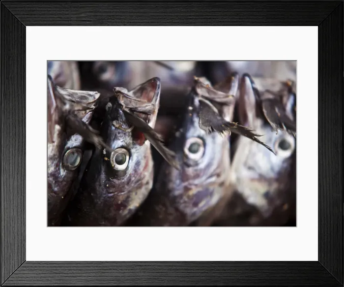 Framed Print : Burundi. Fish hung out to dry on the shores of lake Tanganyika Framed Print : Burundi. Fish hung out to dry on the shores of lake Tanganyika