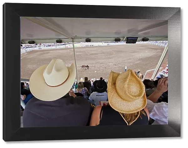 Spectators wathcing a rodeo event at the Calgary Stampede, Canada