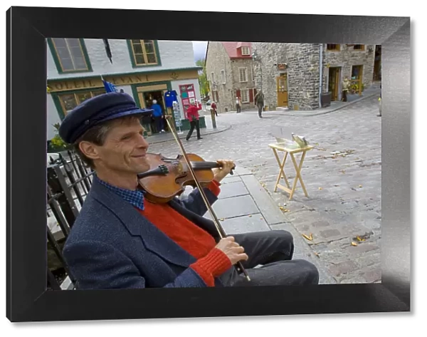 Quebec City, Canada. A street busker palying fiddle for tourist crowds in Old Quebec City