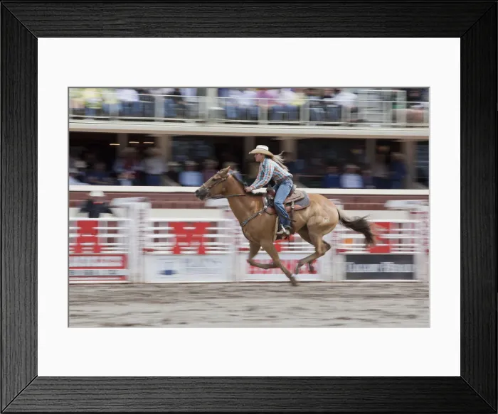 Framed Print : Calgary Canada, Roedeo events at the Calgary Stampede Framed Print : Calgary Canada, Roedeo events at the Calgary Stampede