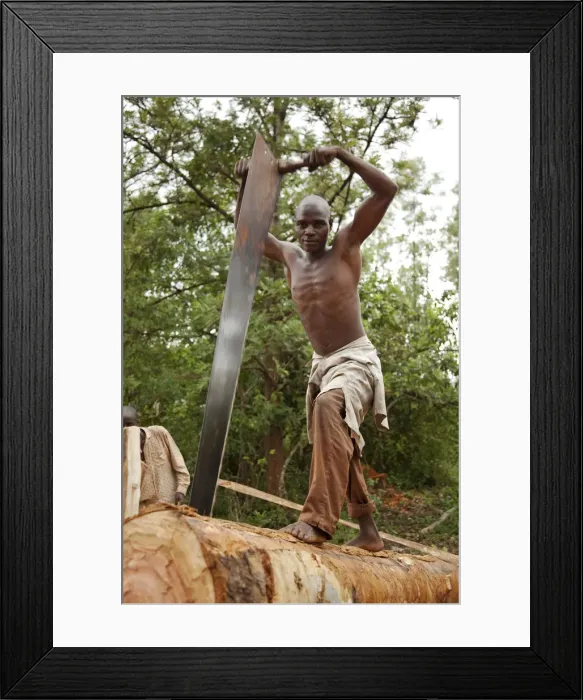 Framed Print : Burundi. A man cuts a tree into planks in a traditional sawpit Framed Print : Burundi. A man cuts a tree into planks in a traditional sawpit