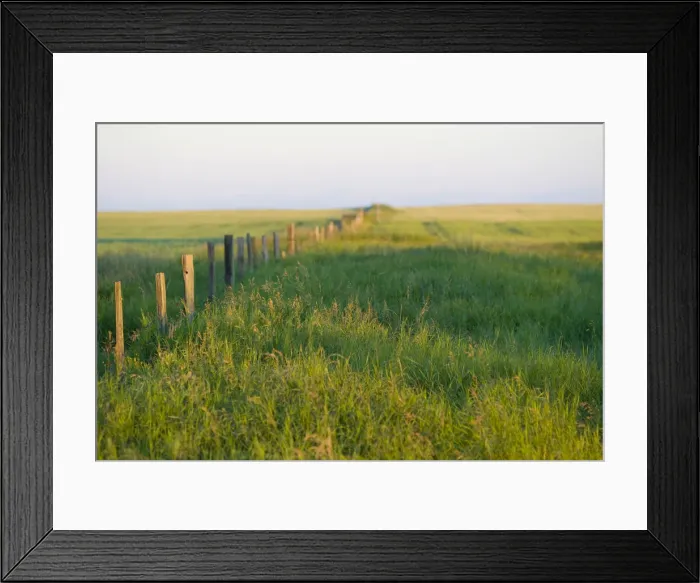 Framed Print : Saskatchewan, Canada. A fence on the Canadian Prairie Framed Print : Saskatchewan, Canada. A fence on the Canadian Prairie