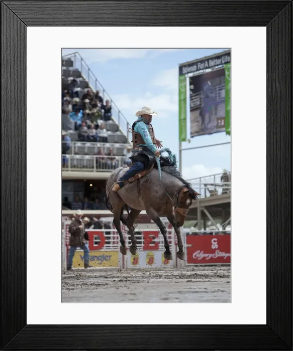 Framed Print : Calgary Canada, Rodeo events at the Calgary Stampede