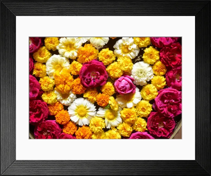 Framed Print : Offerings of Flowers, City of Bundi, Rajasthan, India, Asia Framed Print : Offerings of Flowers, City of Bundi, Rajasthan, India, Asia
