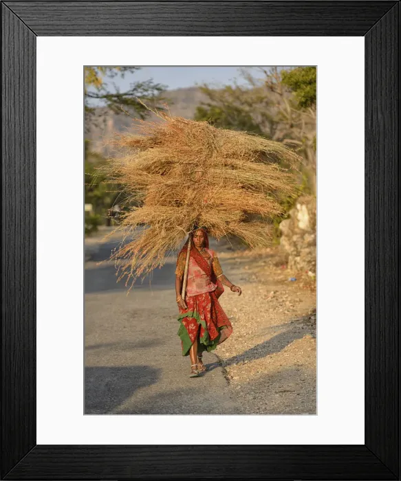 Framed Print : Rural countryside Kumbhalgar Fortress, Rajasthan, India, Asia Framed Print : Rural countryside Kumbhalgar Fortress, Rajasthan, India, Asia