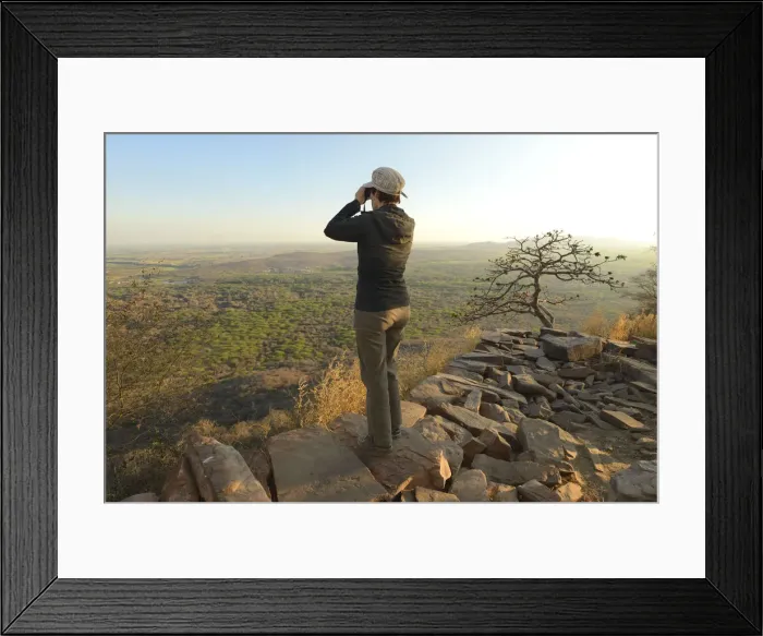Framed Print : woman tourist enjoying the view of Ranthambore National Park, Rajasthan, India, Asia MR Framed Print : woman tourist enjoying the view of Ranthambore National Park, Rajasthan, India, Asia MR