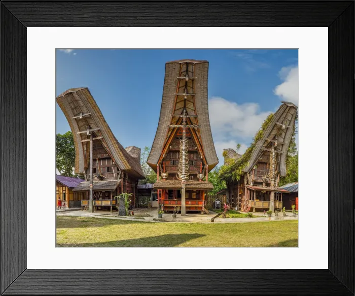 Framed Print : Typical Tongkonan houses, Rantepao, Tana Toraja, Sulawesi, Indonesia Framed Print : Typical Tongkonan houses, Rantepao, Tana Toraja, Sulawesi, Indonesia