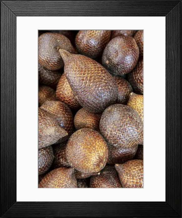 Framed Print : Asia, Southeast Asia, Indonesia, Maluku, Seram island, Salak or snake fruit (Salacca Framed Print : Asia, Southeast Asia, Indonesia, Maluku, Seram island, Salak or snake fruit (Salacca