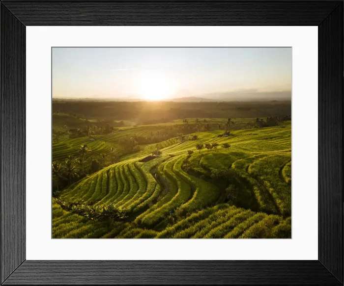 Framed Print : Aerial View of Jatiluwih Rice Terraces, Tabanan, Bali, Indonesia Framed Print : Aerial View of Jatiluwih Rice Terraces, Tabanan, Bali, Indonesia