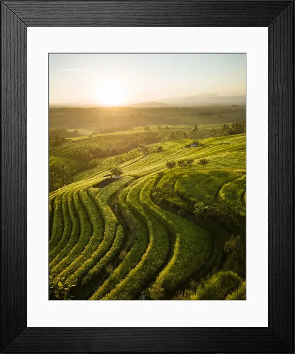 Framed Print : Aerial View of Jatiluwih Rice Terraces, Tabanan, Bali, Indonesia Framed Print : Aerial View of Jatiluwih Rice Terraces, Tabanan, Bali, Indonesia