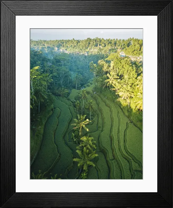 Framed Print : Tegalalang Rice Terraces near Ubud, Bali, Indonesia Framed Print : Tegalalang Rice Terraces near Ubud, Bali, Indonesia