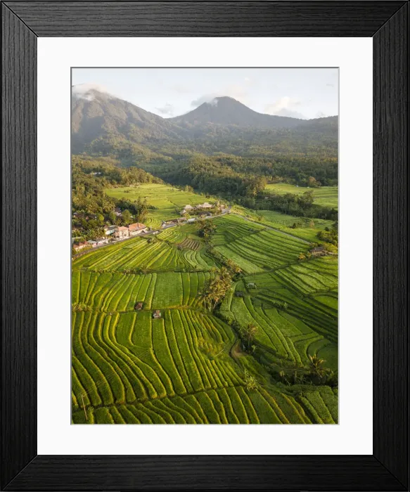 Framed Print : Aerial View of Jatiluwih Rice Terraces, Tabanan, Bali, Indonesia Framed Print : Aerial View of Jatiluwih Rice Terraces, Tabanan, Bali, Indonesia