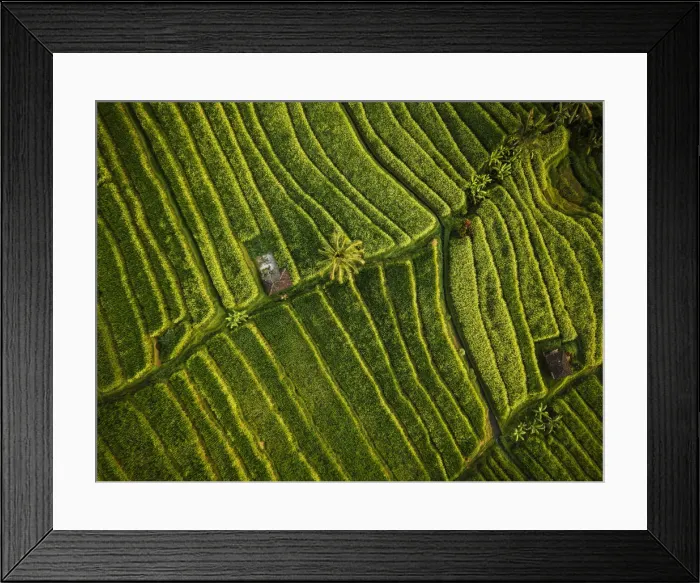 Framed Print : Aerial View of Jatiluwih Rice Terraces, Tabanan, Bali, Indonesia Framed Print : Aerial View of Jatiluwih Rice Terraces, Tabanan, Bali, Indonesia