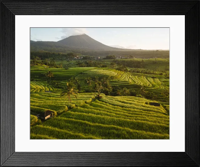 Framed Print : Aerial View of Jatiluwih Rice Terraces, Tabanan, Bali, Indonesia Framed Print : Aerial View of Jatiluwih Rice Terraces, Tabanan, Bali, Indonesia