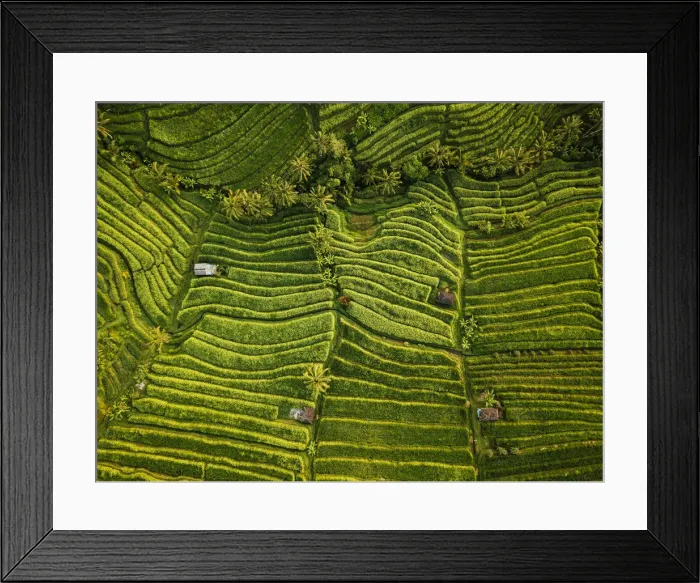 Framed Print : Aerial View of Jatiluwih Rice Terraces, Tabanan, Bali, Indonesia Framed Print : Aerial View of Jatiluwih Rice Terraces, Tabanan, Bali, Indonesia
