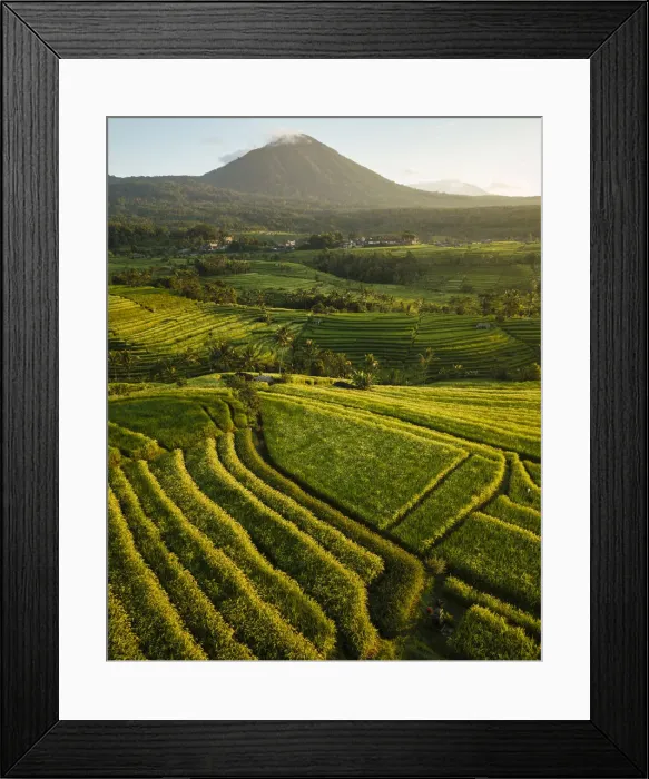 Framed Print : Aerial View of Jatiluwih Rice Terraces, Tabanan, Bali, Indonesia Framed Print : Aerial View of Jatiluwih Rice Terraces, Tabanan, Bali, Indonesia