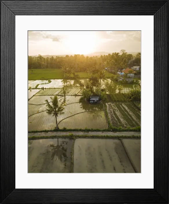 Framed Print : Aerial View of Sunset over Rice Fields near Sidemen, Bali, Indonesia Framed Print : Aerial View of Sunset over Rice Fields near Sidemen, Bali, Indonesia