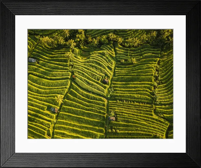 Framed Print : Aerial View of Jatiluwih Rice Terraces, Tabanan, Bali, Indonesia Framed Print : Aerial View of Jatiluwih Rice Terraces, Tabanan, Bali, Indonesia