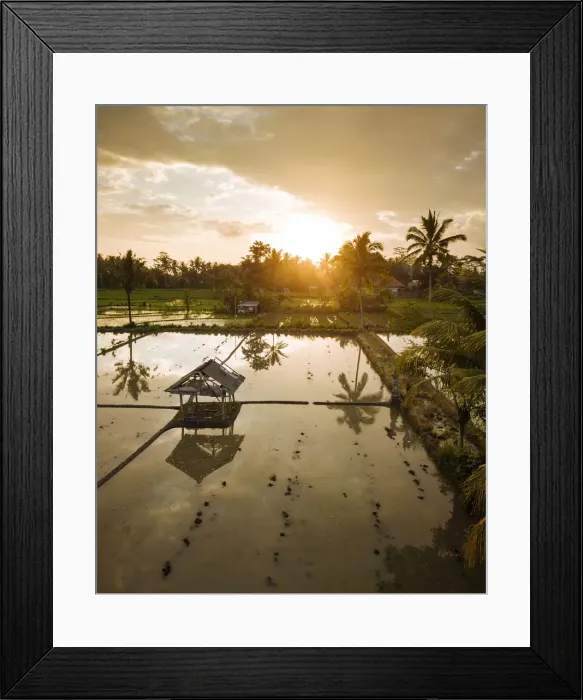 Framed Print : Aerial View of Sunset over Rice Fields near Sidemen, Bali, Indonesia
