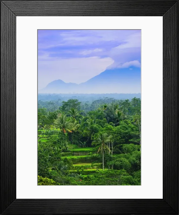 Framed Print : Asia, South East Asia, Indonesia, Bali, Tegalalang Rice Terraces with a volcano in Framed Print : Asia, South East Asia, Indonesia, Bali, Tegalalang Rice Terraces with a volcano in