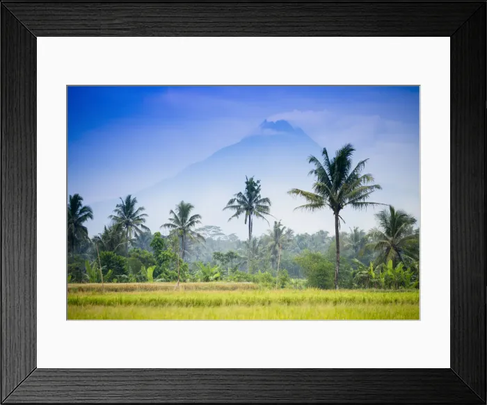 Framed Print : Asia, Indonesia, Java, Yogyakarta, Merapi Volcano, rice farmer in front of the mountain Framed Print : Asia, Indonesia, Java, Yogyakarta, Merapi Volcano, rice farmer in front of the mountain