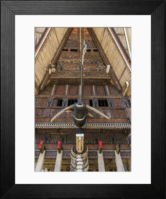 Framed Print : Typical Tongkonan house, Rantepao, Tana Toraja, Sulawesi, Indonesia Framed Print : Typical Tongkonan house, Rantepao, Tana Toraja, Sulawesi, Indonesia