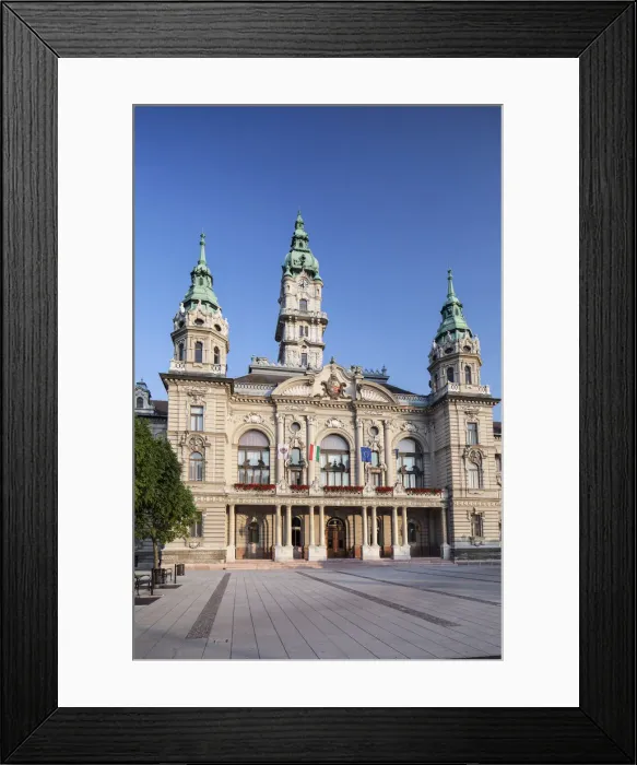 Framed Print : City Hall, Gyor, Western Transdanubia, Hungary Framed Print : City Hall, Gyor, Western Transdanubia, Hungary