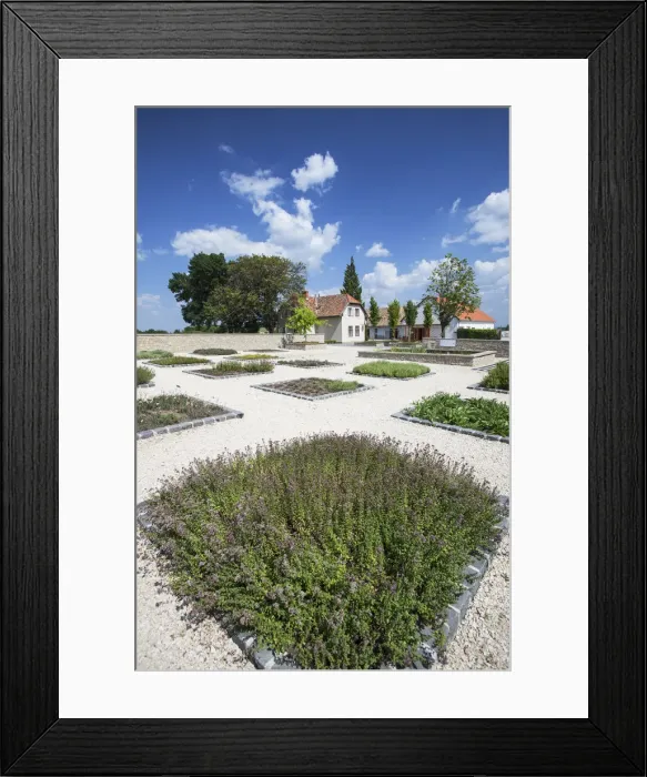 Framed Print : Herb garden, Pannonhalma Abbey (UNESCO World Heritage Site), Pannonhalma, Western Framed Print : Herb garden, Pannonhalma Abbey (UNESCO World Heritage Site), Pannonhalma, Western