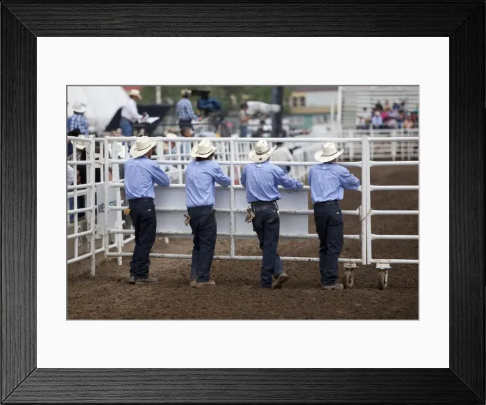 Framed Print : Calgary Canada, Rodeo events at the Calgary Stampede Framed Print : Calgary Canada, Rodeo events at the Calgary Stampede