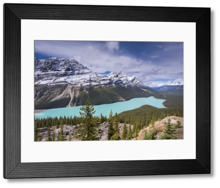 Framed Print : Beautiful Peyto Lake in the Canadian Rockies, Banff National Park, Alberta, Canada Framed Print : Beautiful Peyto Lake in the Canadian Rockies, Banff National Park, Alberta, Canada